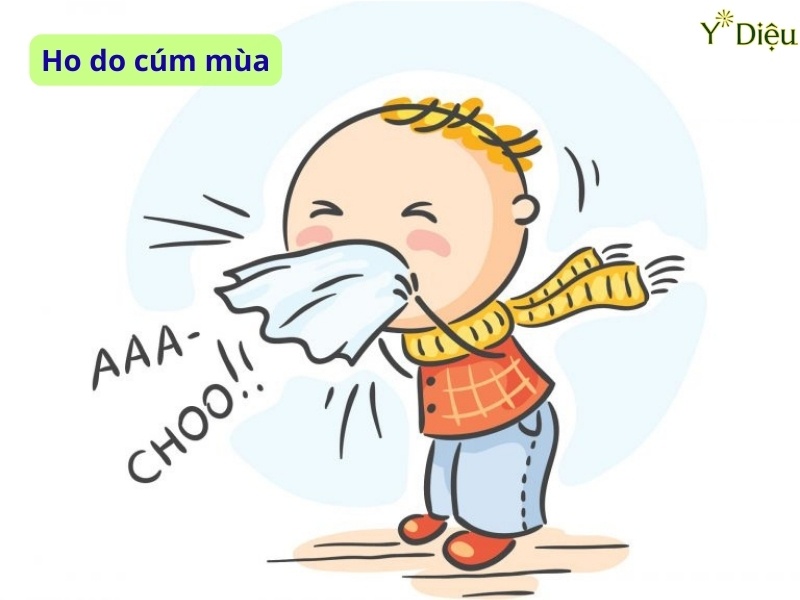 Ho Do Cúm Mùa, Nguyên Nhân, Triệu Chứng Và Cach Phòng Ngừa